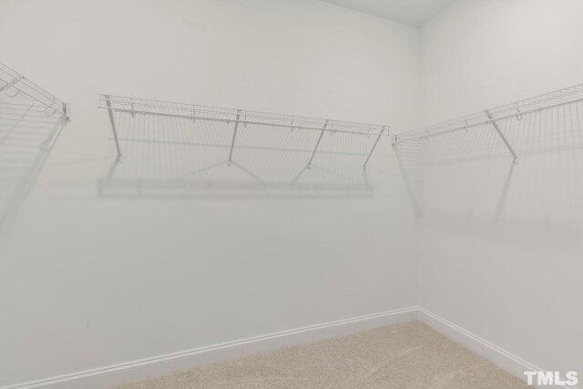 Building Photo - 2045 Maggie Vly Dr