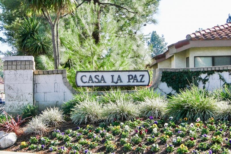 Building Photo - 24322 El Pilar