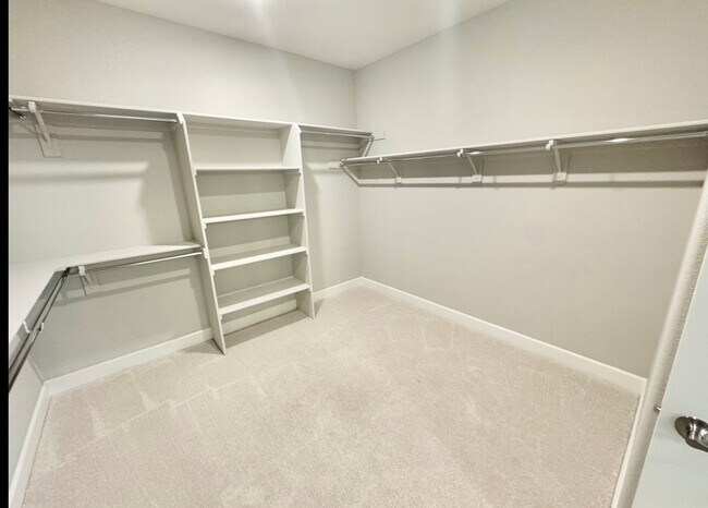 Building Photo - Beautiful home in Springlake!!