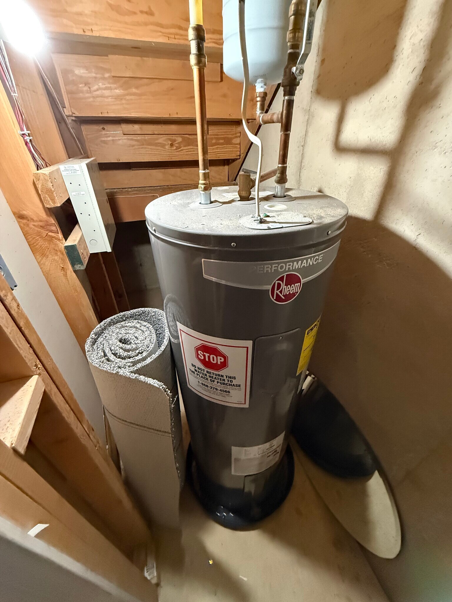 Building Photo - 12 Paynter St