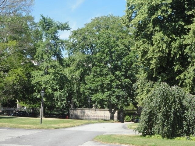 Building Photo - 364 Bellevue Ave