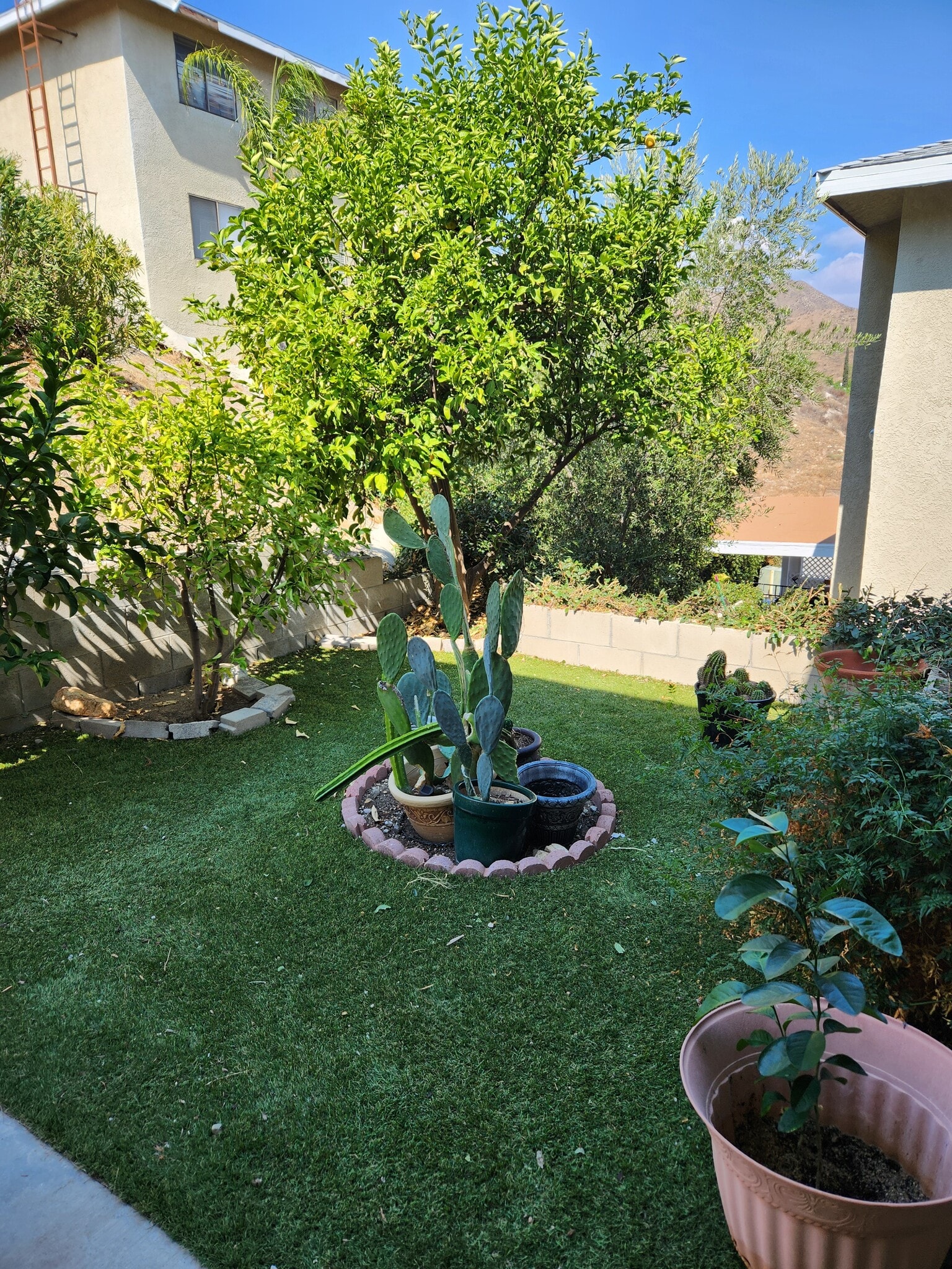 Outside front door - 28323 Hillfield Ln