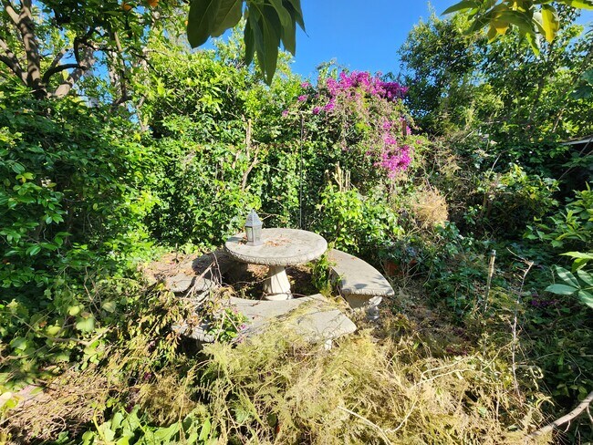 Building Photo - 3700 Vantage Ave