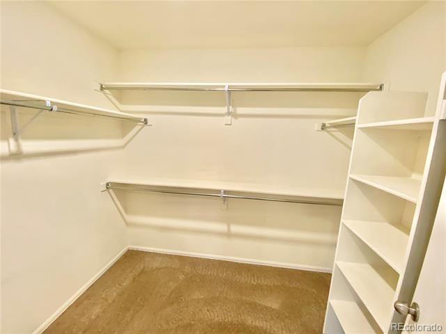 Building Photo - 8811 Concolor Ln