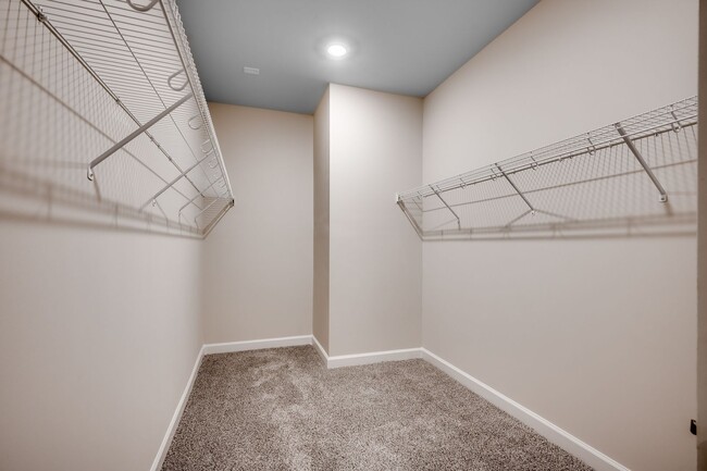 Building Photo - 2312 Cooper Creek Loop