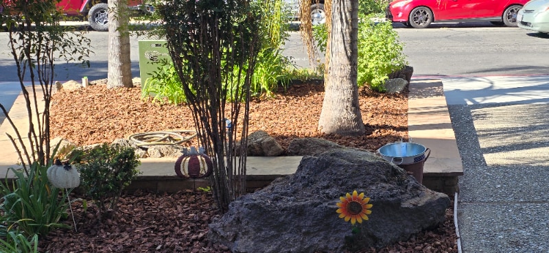 Building Photo - 2200 Royale Rd