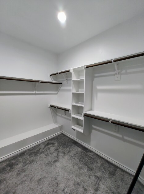 Building Photo - 7855 San Carlos St