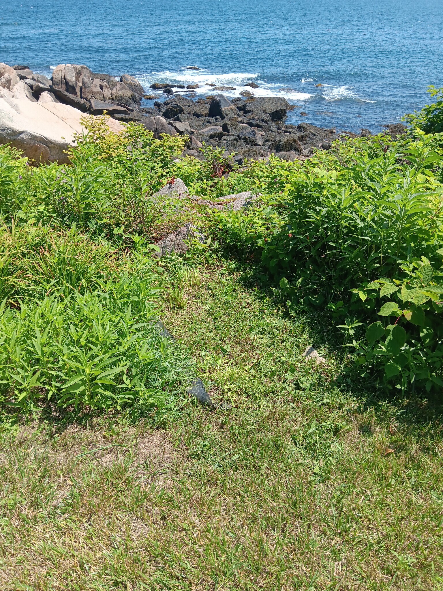 Path to Ocean - 125 Granite St