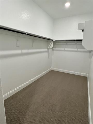 Building Photo - 3208 Sedge Grass Dr