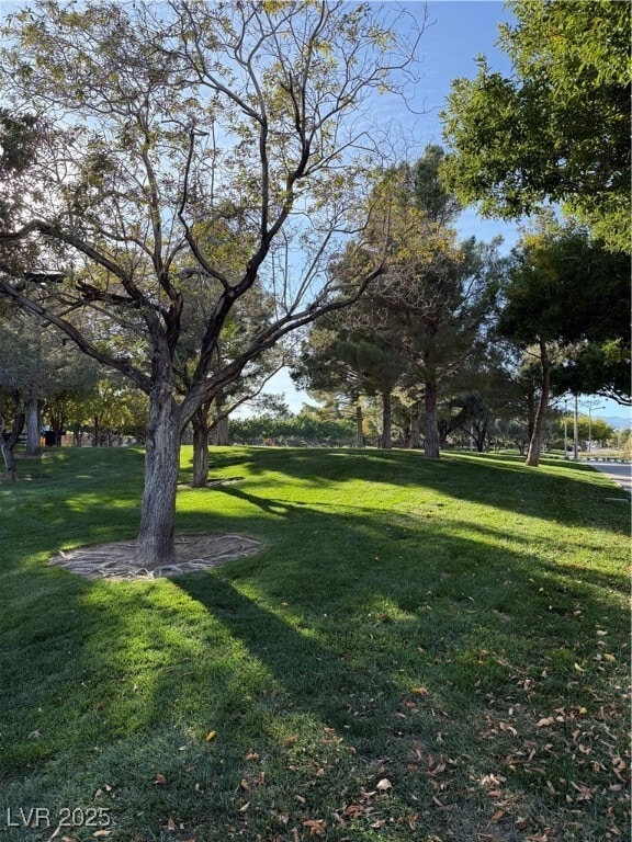 Building Photo - 11230 Revelry Ln