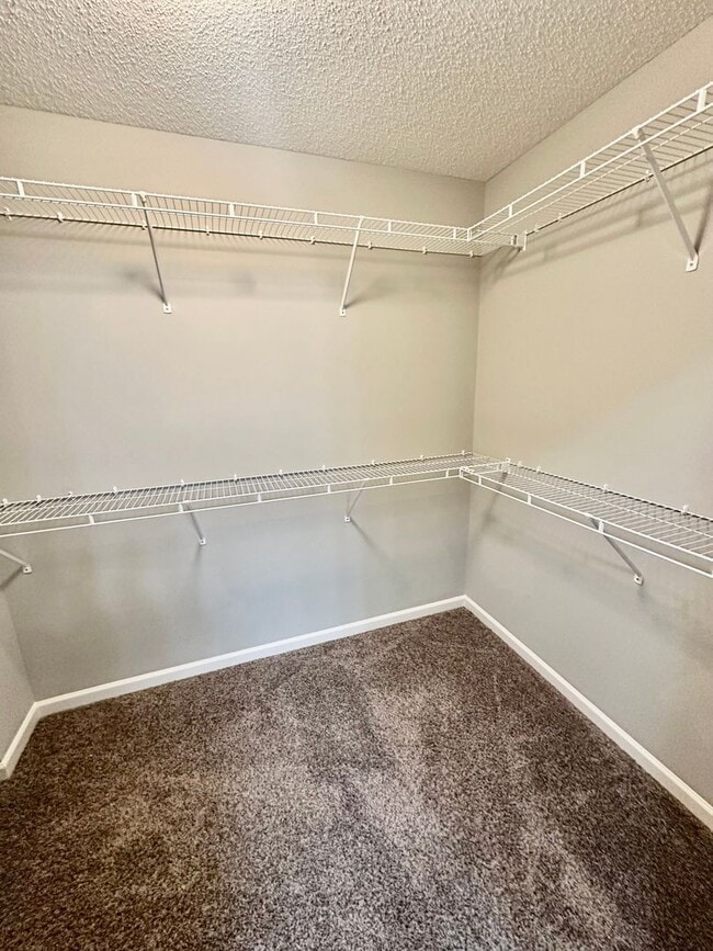 Building Photo - Gorgeous Newer-Built Townhome in Maple Grove!