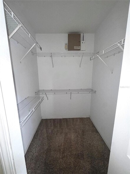 Building Photo - 3460 Castle Stone Ct