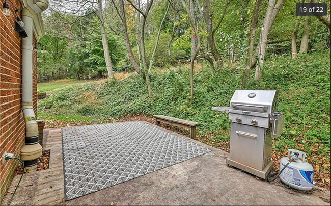 Back Patiio - 726 Orchard Hill Dr