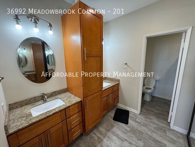 Building Photo - 36992 Meadowbrook Common