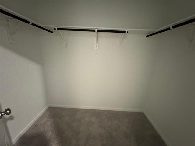 Building Photo - 3045 Tokara St