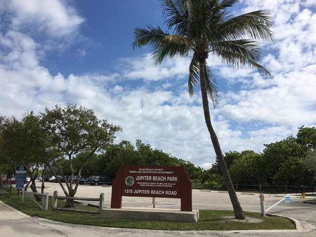 Building Photo - 1100 E Indiantown Rd