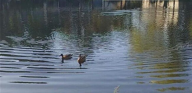 Building Photo - 6101 34th St W