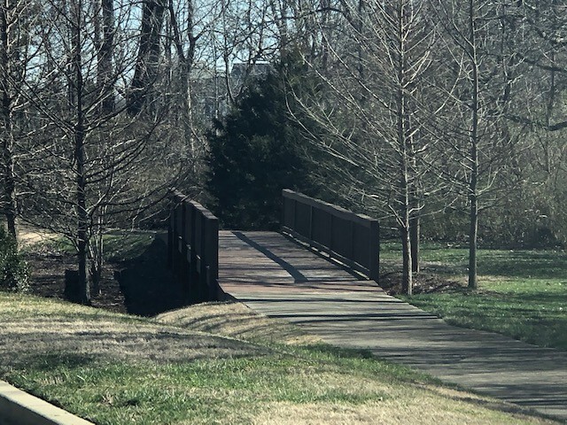 wooded walking trail across the street - 1632 Shadow Green Dr