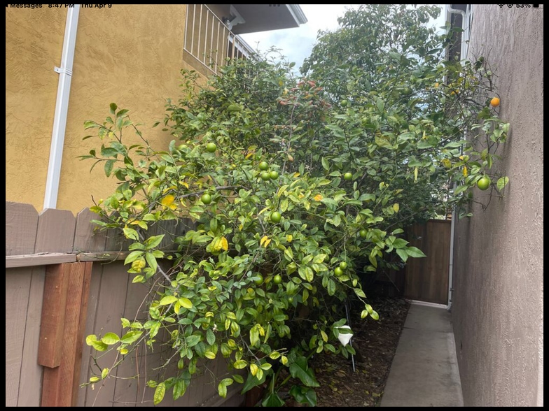 Building Photo - 3440 64th Avenue Plz