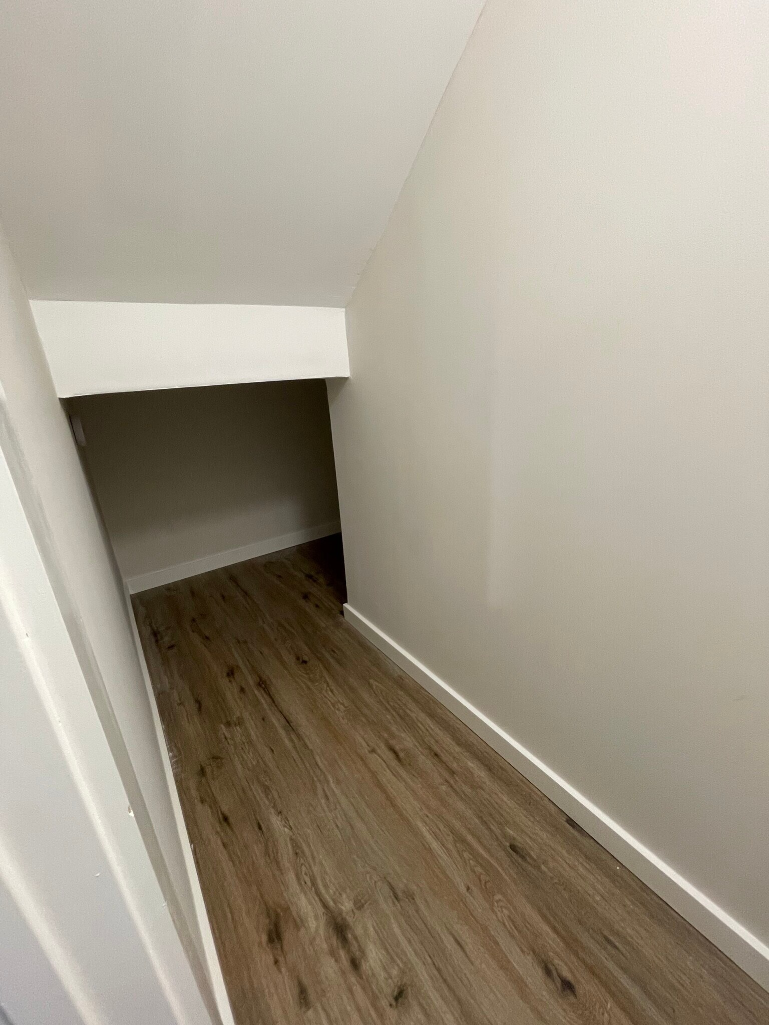 Building Photo - 533 Bluff Ct