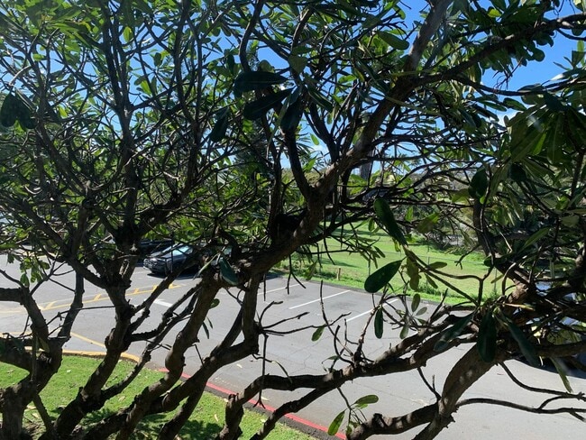 Building Photo - 111 Kahului Beach Rd