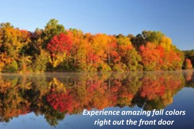 Building Photo - 293 Sumac Ln