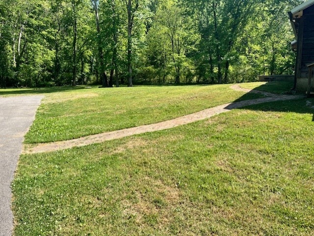 Brick paver walkway to deck and patio - 4716 McCahill Rd