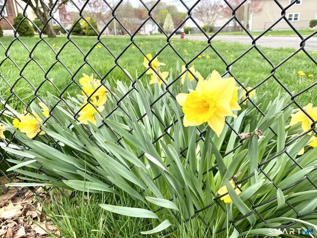 Building Photo - 119 Carroll St