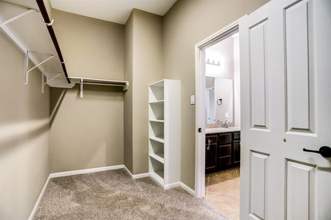 Building Photo - 9238 Solvista Pass Ln