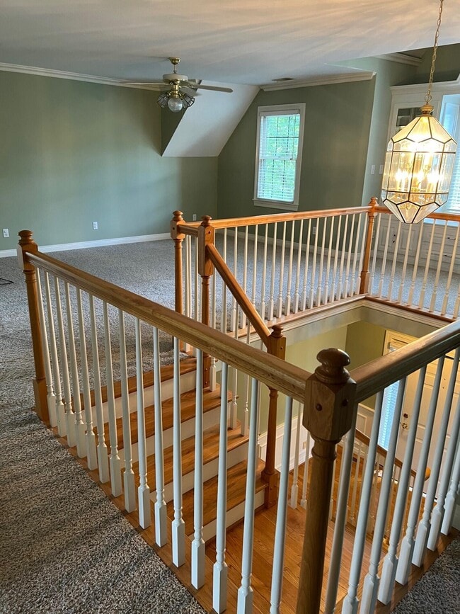 Building Photo - 4204 Nutmeg Dr