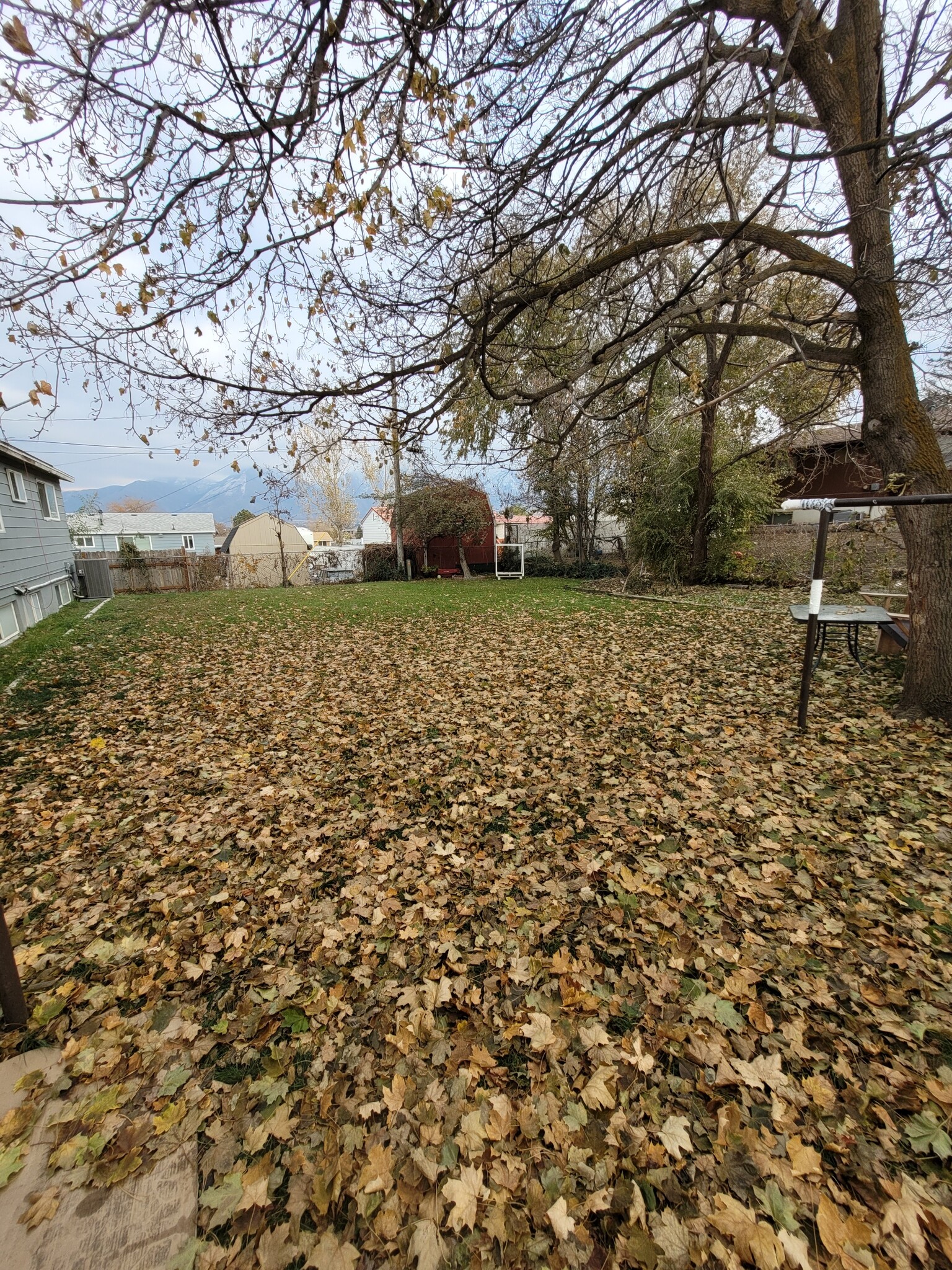 Backyard looking west to east - 776 E 400 N