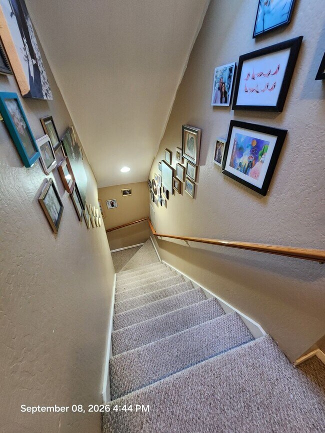 Building Photo - 493 Brassie Ave