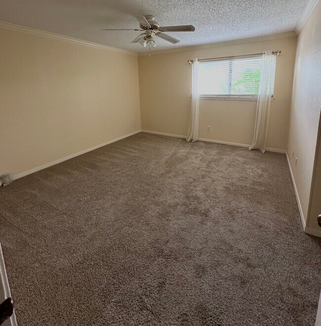 Building Photo - 5911 Woodway Place Ct