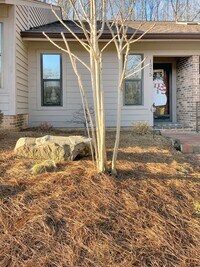 Building Photo - 1575 Ivy Trce