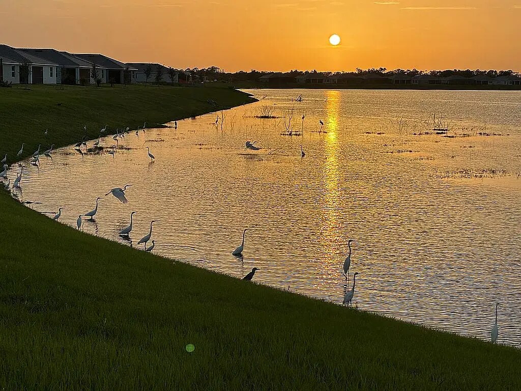 Building Photo - 8256 Shore Lake Dr