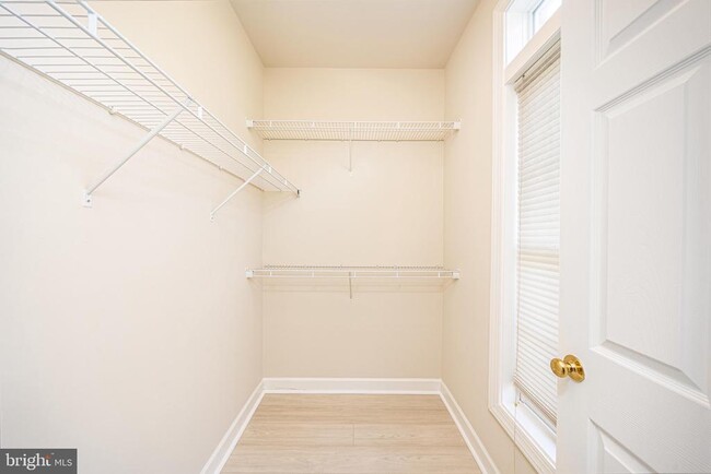 Building Photo - 3687 Spring Hollow Ln
