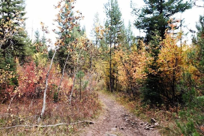 Building Photo - 712 Broken Rein Rd