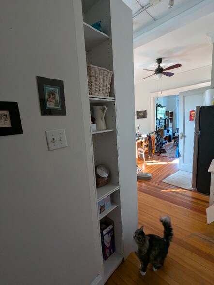 Building Photo - 544 Madison Ave