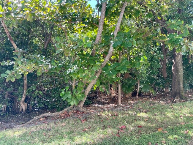 Building Photo - 4501 S Ocean Blvd