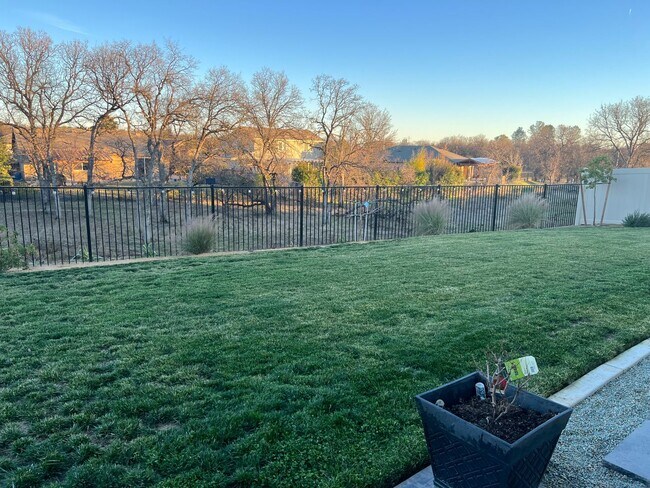 Building Photo - Custom 4 Bedroom + Office - Clover Creek Preserve