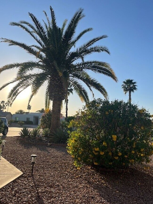 Building Photo - Great Summer Rental at a Great Price! Available May 15 through October 15, 2026 Only. Lovely cozy...