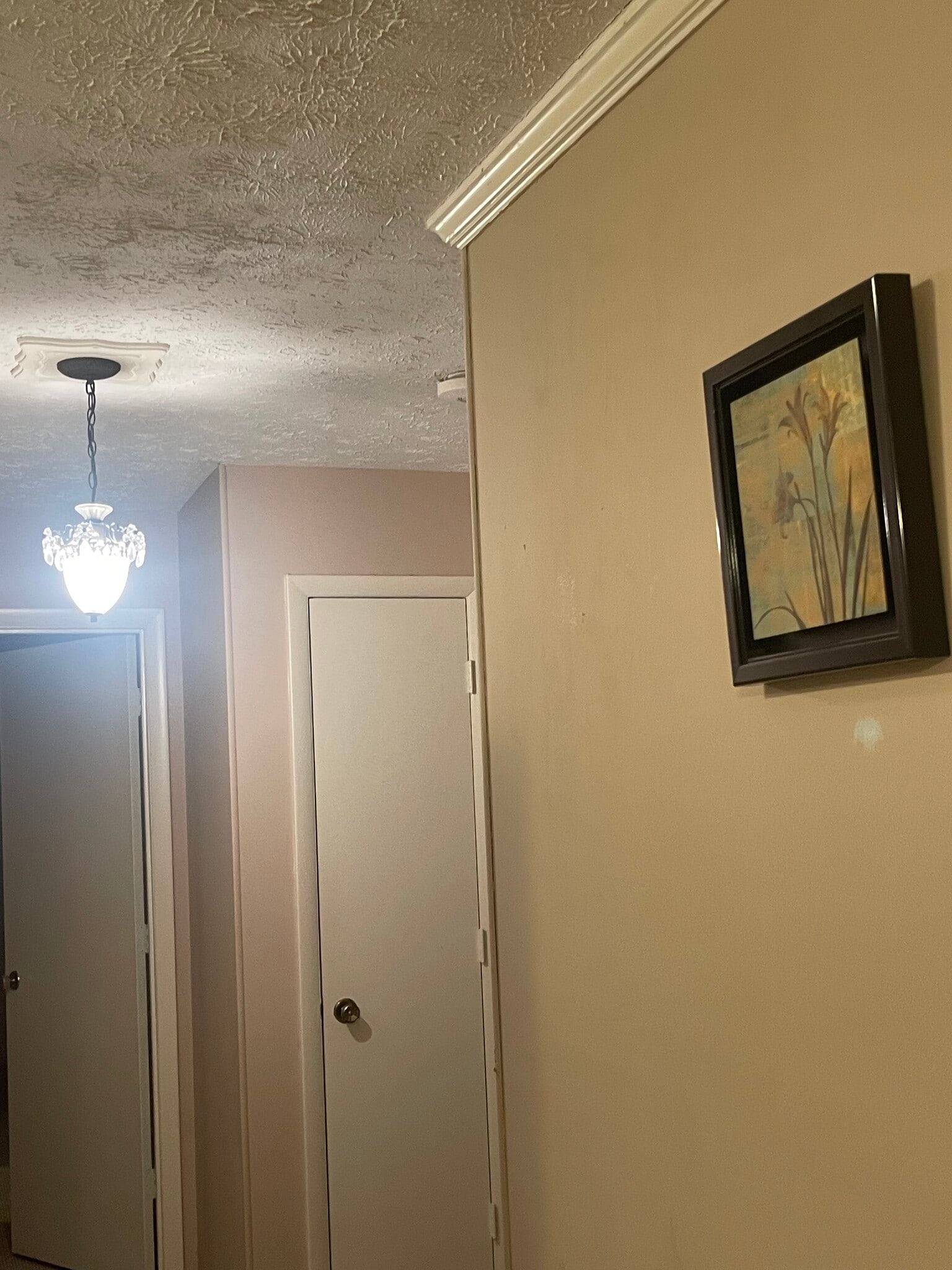 Building Photo - 283 Alpine Dr