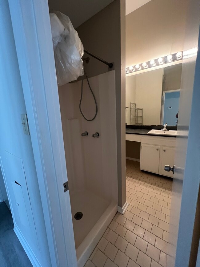 BATHROOM OFF HALLWAY - 333 Julia St