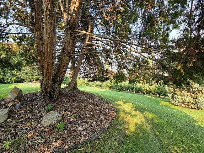 Building Photo - Stunning 4 Bedroom, 3 Bathroom Home, with ...