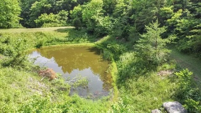 Building Photo - Live the Hobby Farm Dream in Shawsville, VA!