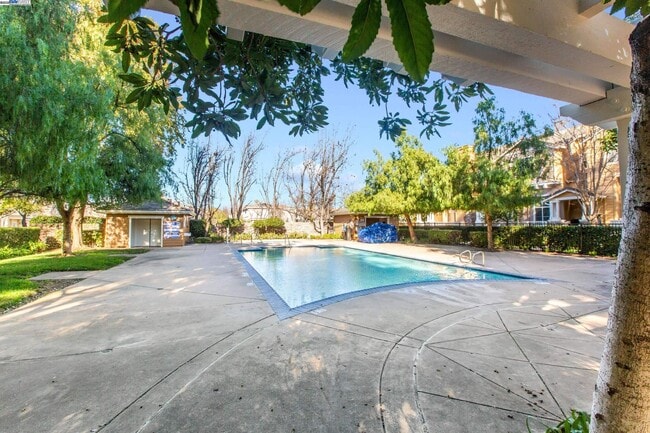 Building Photo - 4579 Mangrove Dr