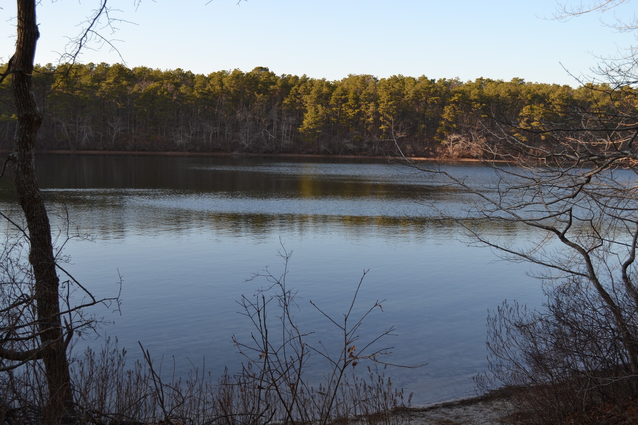 Pond - 301 W Yarmouth Rd