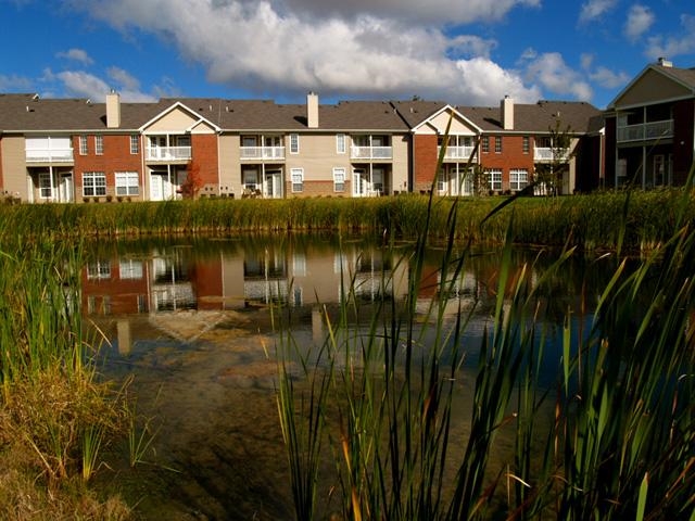 Building Photo - Lakeshore Apartments