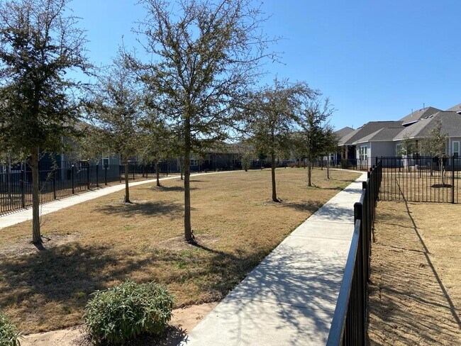 Back yard - 162 Rains