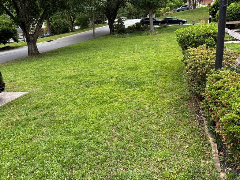 Front Yard - 1210 Fox Run Dr